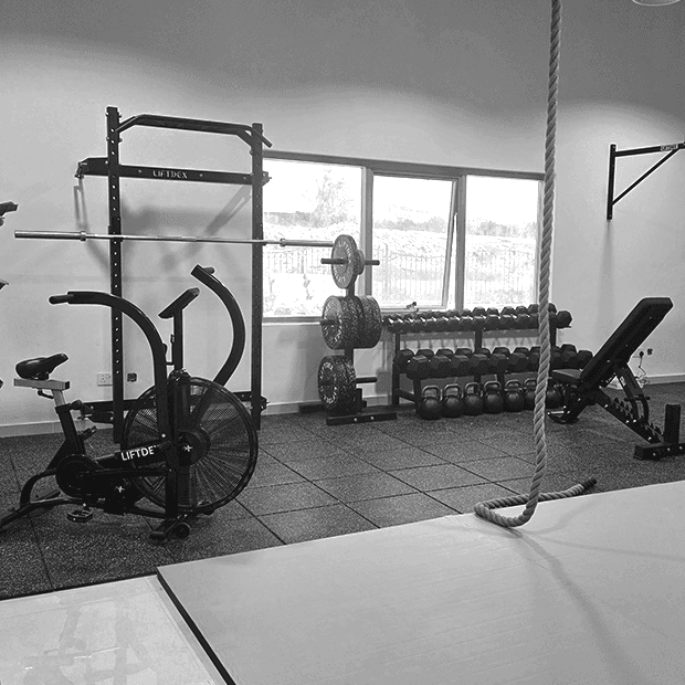 Fitness Classes